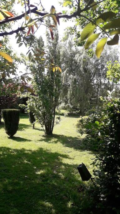 Un Petit Coin De Paradis Clairfontaine Ngoại thất bức ảnh